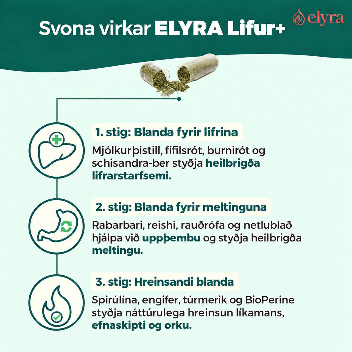 ELYRA Lifur+ – lifrarstuðningur, 60 hylki