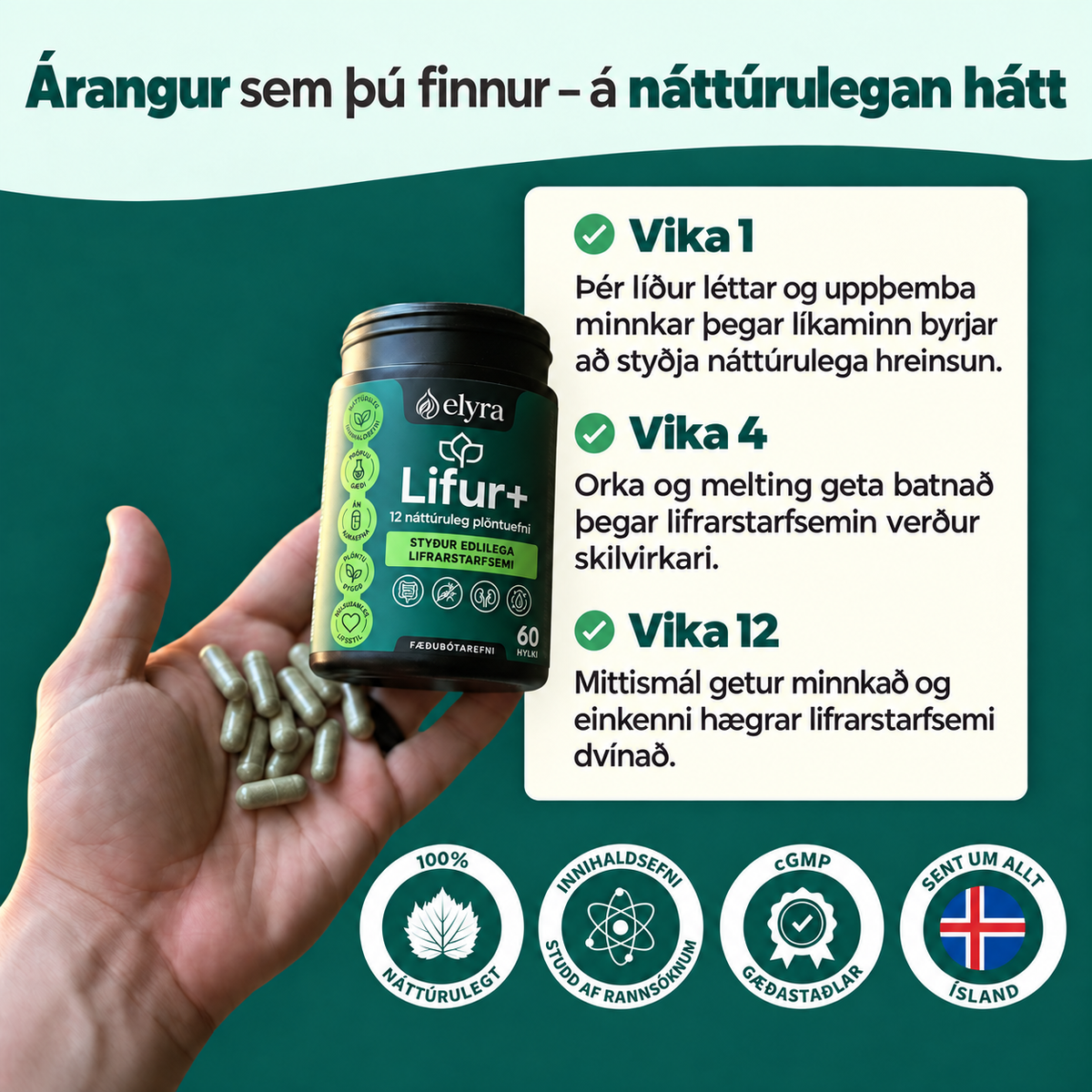 ELYRA Lifur+ – lifrarstuðningur, 60 hylki