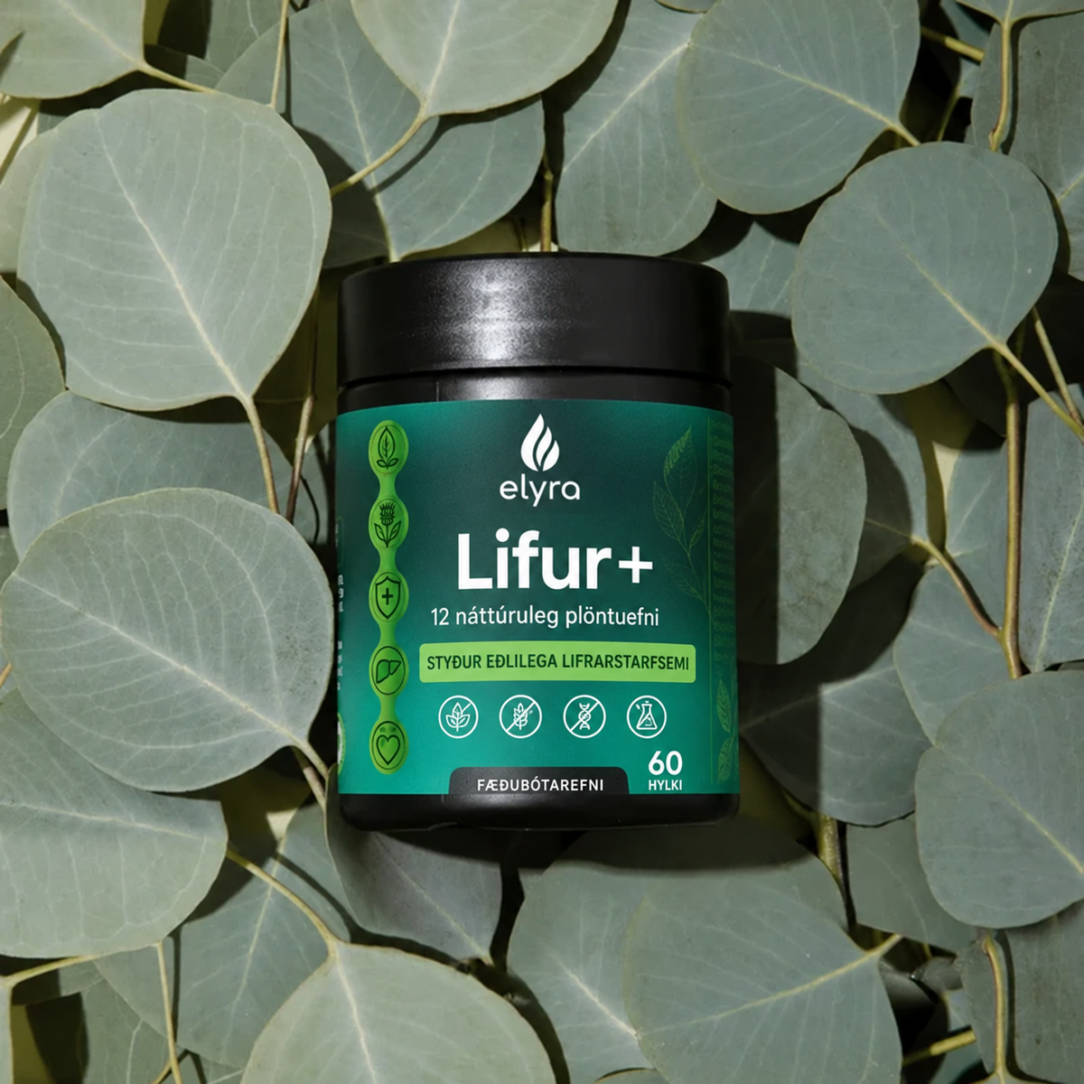 ELYRA Lifur+ fæðubótarefni